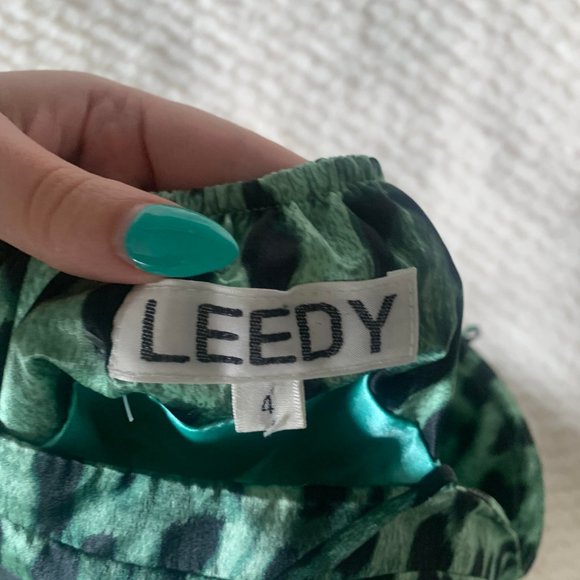 Leed Green Silky Rockabilly Cheetah Print Bustier-Style Slip Strap Dress - Picture 4 of 5